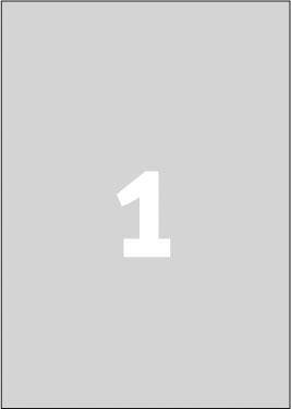 Etikete L6013, 210x297 20/1